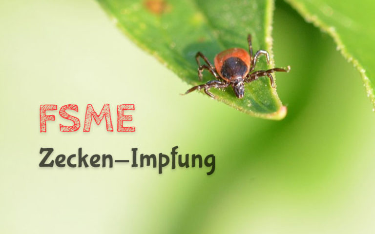 Zecken-Impfung und FSME