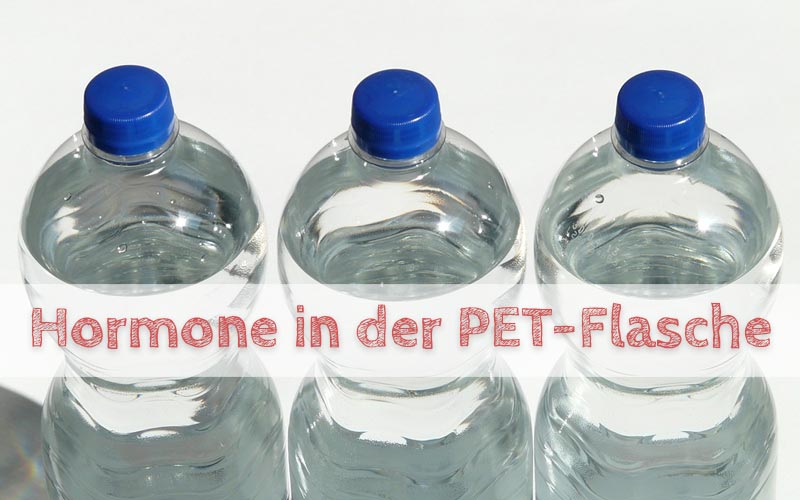 hormone-pet-flasche