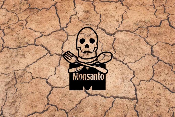 Monsanto Monsanto