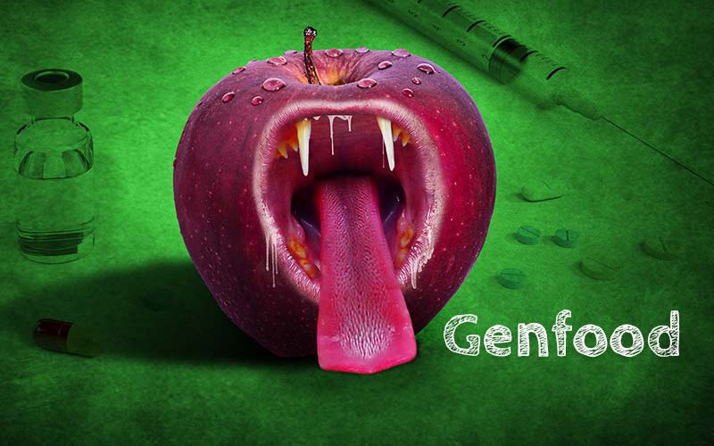 Risiko Gentechnik - Genfood Genfood: Hohes gesundheitliches Risiko für Mensch und Tier