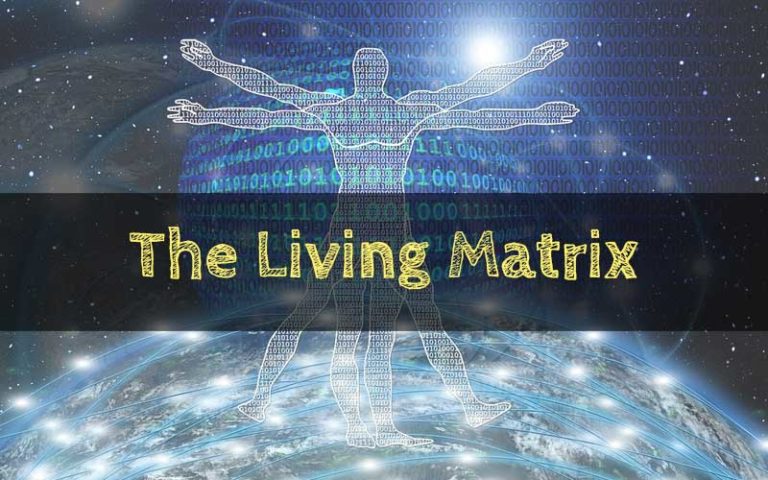 The Living Matrix