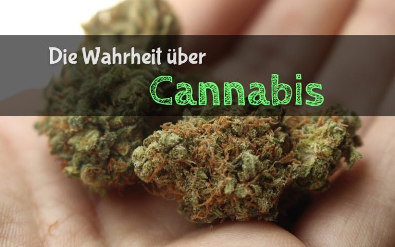Die Wahrheit über Cannabis? – The Evil Weed
