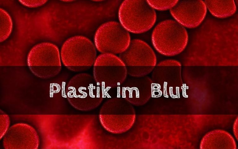 Plastik im Blut – Wir sind alle mit Bisphenol A (BPA) belastet