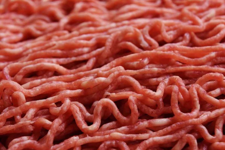 Proteinreiche Fäkal-Nahrung – Fleisch aus Klärschlamm