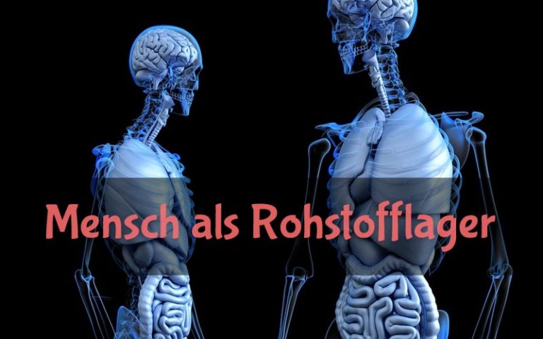 Der moderne Kannibalismus und Kryptokannibalismus. Der Mensch als Rohstofflager