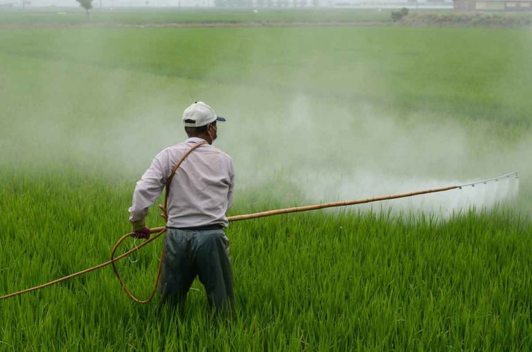 Gefährlichste BAYER-Pestizide vom Markt nehmen!