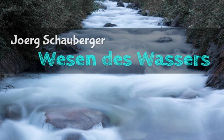 Joerg Schauberger: Das Wesen des Wassers
