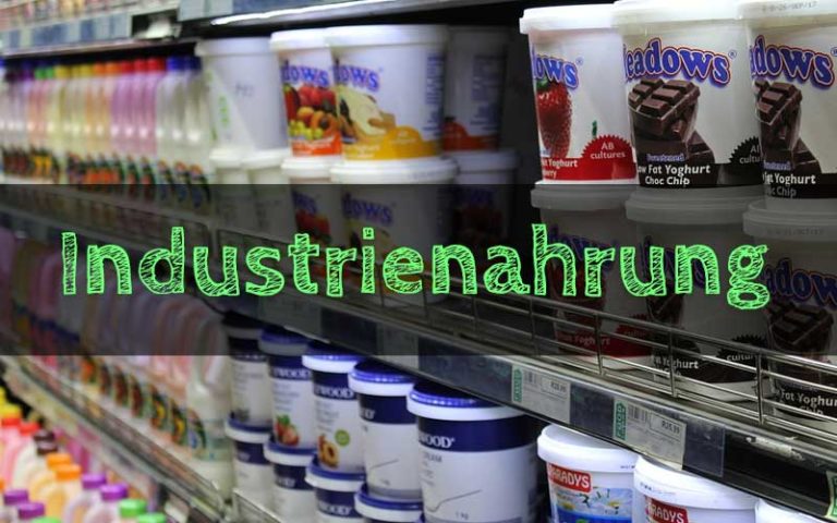 Industrie-Nahrung – Natürliches Aroma wirklich so natürlich?