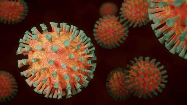 Stefan Lanka gibt Eidesstattliche Versicherung zu Viren ab