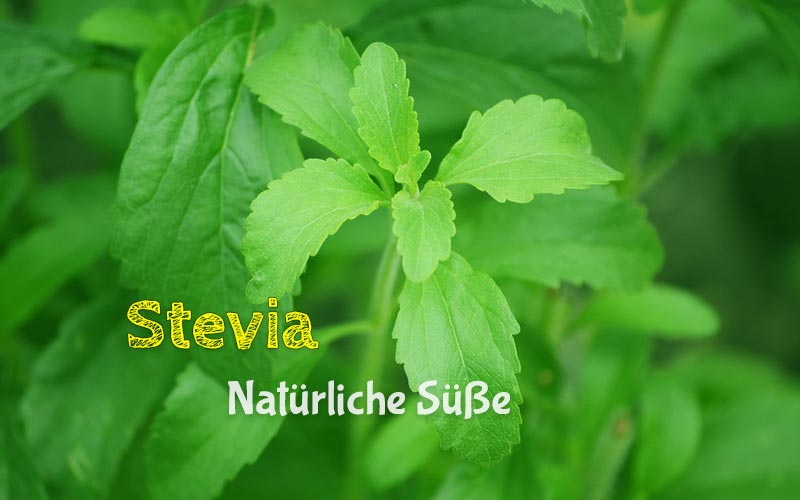 stevia-suessstoff