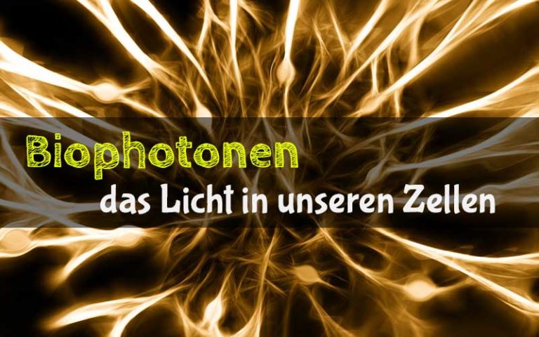 Biophotonen – das Licht in unseren Zellen (Vortrag)