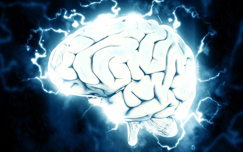 evolve-your-brain