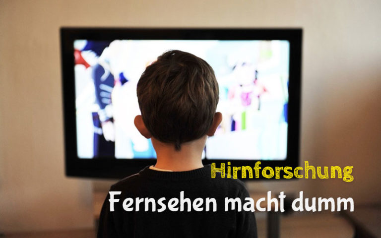 Hirnforschung: Fernsehen macht dumm, dick und gewalttätig