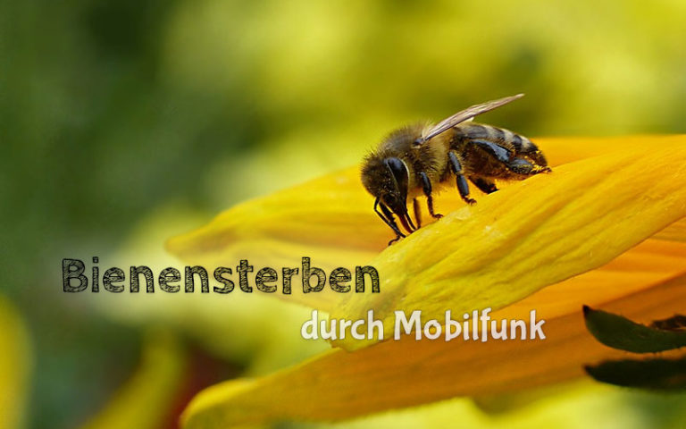 Nachgewiesen: Mobilfunk mitverantwortlich für Bienensterben