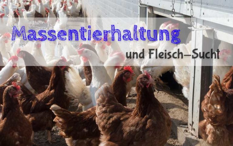 Gary Yourofsky über Massentierhaltung und Fleisch-Sucht