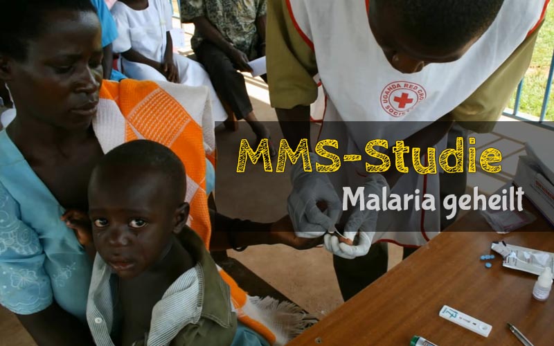 MMS-Studie: Malaria nach 48h komplett geheilt MMS-Studie: Malaria nach 48h komplett geheilt