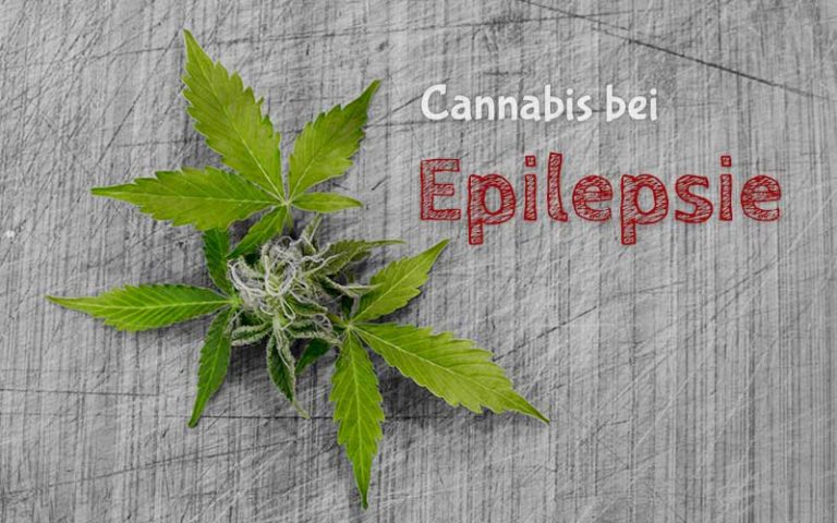 Epilepsie: Dank Cannabis ist 8-jähriges Mädchen frei von epileptischen Anfällen