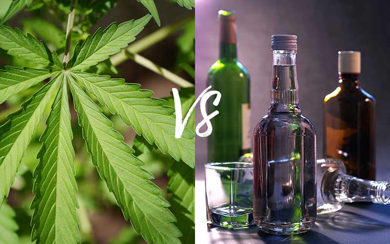 Cannabis vs. Alkohol - Ein Plädoyer für die Legalisierung von Hanf Cannabis vs. Alkohol - Ein Plädoyer für die Legalisierung von Hanf
