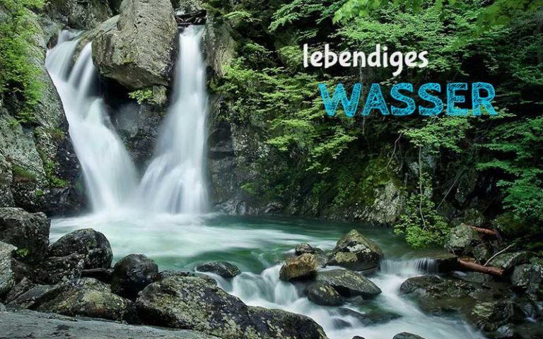 Lebendiges Wasser und Wasserbelebung