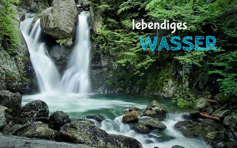 Warum ist Lebendiges Wasser ein Unspezifisches Heilmittel? Lebendiges Wasser und Wasserbelebung