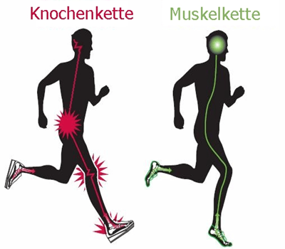 Vorfußlaufen: Muskelkette, statt Knochenkette