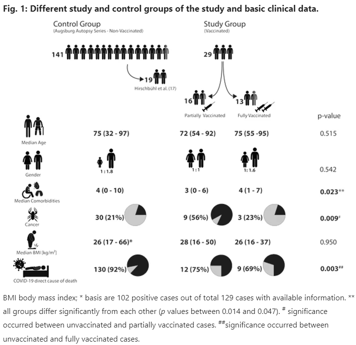 2022 06 20 17 35 23 High viral loads what drives fatal cases of COVID 19 in vaccinees – an autopsy