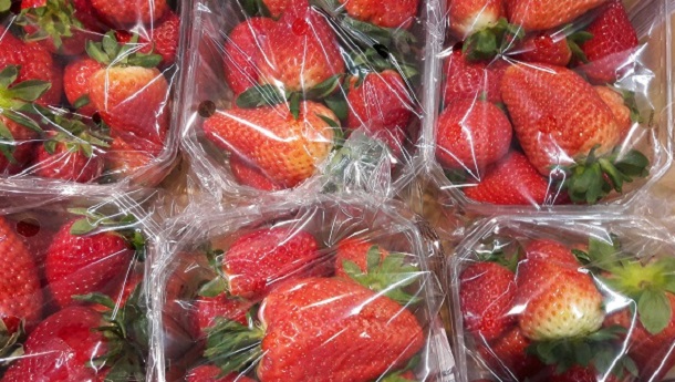ÖKO-TEST und die giftigen Erdbeeren