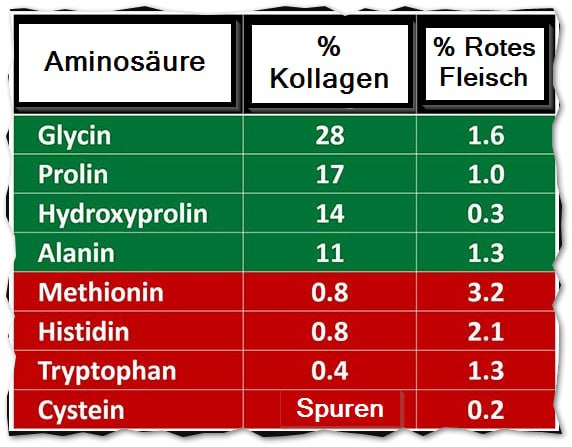 aminosaeure kollagen rotes fleisch