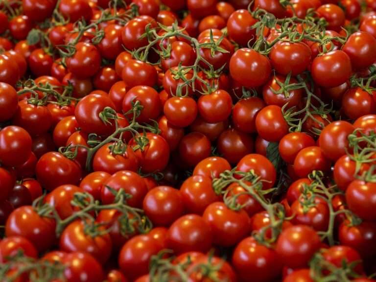 Tomaten