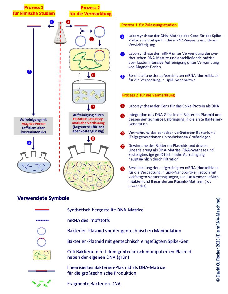 BioNTech Herstellungsverfahren